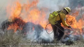 ¿Cómo puedo ser combatiente de incendios forestales?