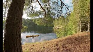 Solo summer canoe trip in the BWCA Wilderness 2023, Seagull Lake entry.