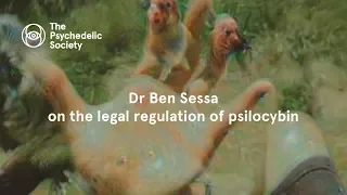 Dr Ben Sessa on the legal regulation of psilocybin