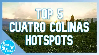 Top 5 BEST Hotspots On Cuatro Colinas! | theHunter - Call of the Wild