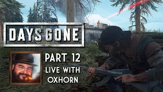 Days Gone Part 12 - Live with Oxhorn