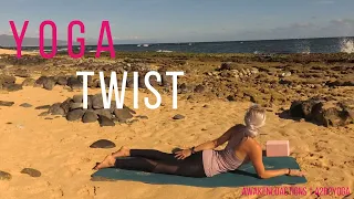 Yoga Twist (25 minute Yoga Flow) Beginners Yoga