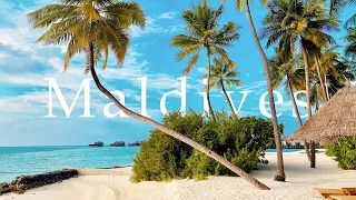 Maldives 12K HDR 60fps Dolby Vision | A Breathtaking Visual Experience