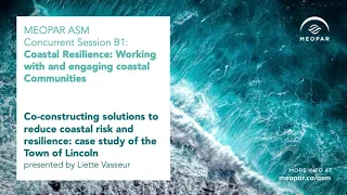 Co-constructing solutions to reduce coastal risk and resilience: case study of the Town of Lincoln