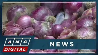 Marcos: Gov't to build solar-powered cold storage, facilities to support onion farmers | ANC