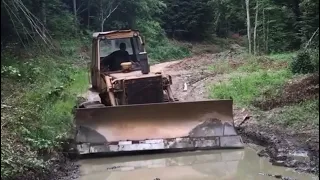 Bulldozer works in the forest