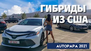 Гибриды из США. Гибридные автомобили из Грузии. AUTOPAPA. Master Vadya. Мастер Вадя. MV.