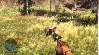 Far Cry Primal Saber tooth Tiger vs Boar