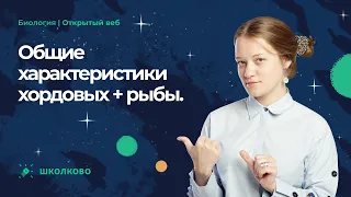 Общие характеристики хордовых + рыбы для ЕГЭ-2023 по биологии