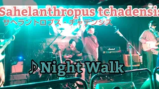 ♪ Night Walk／Sahelanthropus tchadensis／サヘラントロプス・チャデンシス／猫とはなフェス／LIVE SPACE C-moon／2024年 2月18日