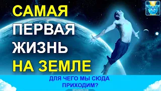 Самое первое воплощение на Земле. Как и для чего оно дается?