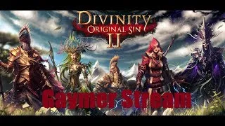 Divinity Original Sin 2: Let's try not to die pt. 2 (Sebille gameplay)