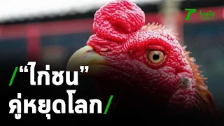 ไก่ชนคู่หยุดโลก ไก่สุราษฎร์ฯ คว้า 8.8 ล้าน | 27-11-63 | ข่าวเที่ยงไทยรัฐ