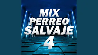 Mix Perreo Salvaje 4