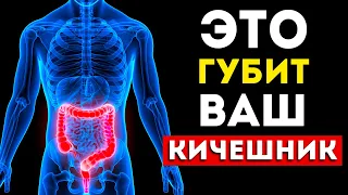 Кишечник: 3 самых вредных и 3 самых полезных продукта