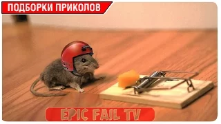 Подборка приколов за Март 2016 (+18) #60 A selection of jokes for March 2016