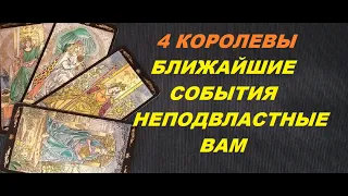 4 КОРОЛЕВЫ. БЛИЖАЙШИЕ СОБЫТИЯ НЕПОДВЛАСТНЫЕ ВАМ. Таро с Тесс