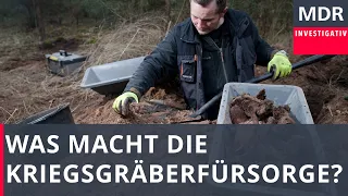 Was macht die Kriegsgräberfürsorge? | Exakt | MDR