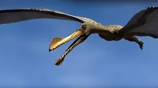 King of the Skies | Walking with Dinosaurs in HQ | BBC Earth