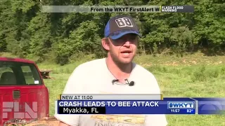 Man From Myakka FL Speaks Some Kind Of Spider Tounge