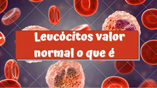 Leucócitos valor normal o que é