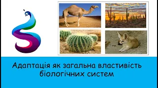 Адаптація як загальна властивість біологічних систем