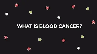 What is blood cancer? | AN Guide