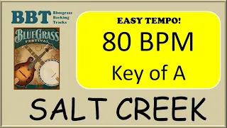 Salt Creek bluegrass - backing track 80