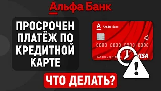 Просрочен платеж по кредитной карте Альфа-Банка. Что делать?