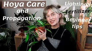 Hoya Care Guide + Propagation | Lighting, Water, Growth, Fertilizer, Etc.