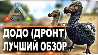 Додо (Dodo) в АРК. Лучший обзор: приручение и способности в ark