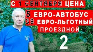 39 евро стоит льготный проездной билет в городской автобус в Германии на сентябрь 2022.