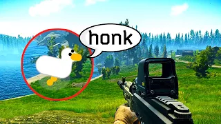 This Goose RUINED Escape from Tarkov