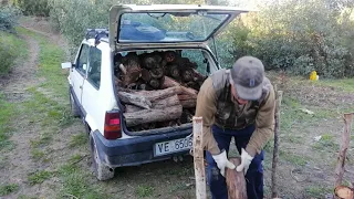 Trasporto di 1m3 di legna con la Panda 4x4 TREKKING, da MicheleExpert-Cropalati-Cs