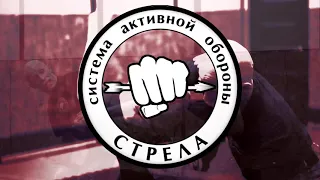 Фрагменты семинара в Рязани.ч 6. Превентивная атака.В Крючков/preventive attack