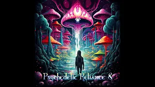 System NO3 - Dark psytrance DJ set @ Psychedelic Reliance 8