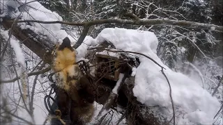 Охота на куницу. Удачный обход путика (Будни охотника и рыбака)