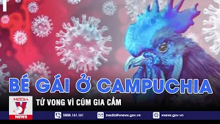 Bé gái ở Campuchia tử vong vì cúm gia cầm - Tin thế giới - VNEWS