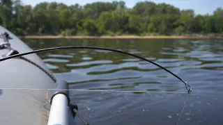 Наконец то крупный лещ пошёл. Эти лопаты разгибают крючки. Рыбалка 2023. Ловля леща на кольцо