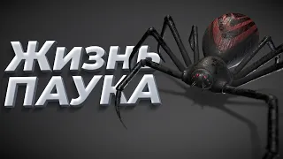 Жизнь паука ( Happy Nightmare Juice )