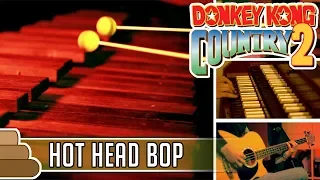 David Wise - Hot Head Bop [Donkey Kong Country 2]