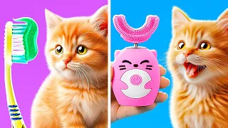 Como cuidar de seu animal de estimação 😻 Gadgets e dicas para donos de animais de estimação