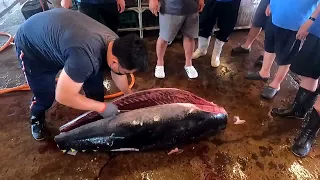 Cutting giant bluefin tuna to luxurious sashimi, teppanyaki tuna  巨大黑鮪魚切割秀鐵板上腹肉 Taiwanese food