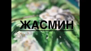 жасмин акварелью