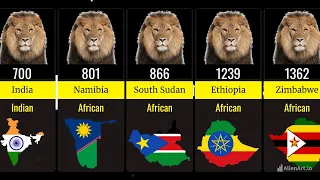 Comparison: Lion Population by Country 🦁