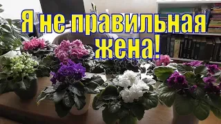 VLOG/ Я НЕ ПРАВИЛЬНАЯ ЖЕНА /ПРОСТО ШИКАРНЫЕ ФИАЛКИ