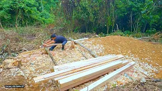 Prepare materials to build a solid house in the middle of a tropical forest, new companion | Ep 175