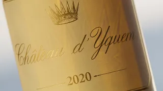 Awakening the senses - Château d'Yquem 2020