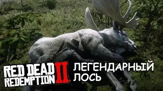 Охота на Легендарного Лося  Red Dead Redemption 2