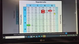 Ejercicios de replicación, transcripción y traducción